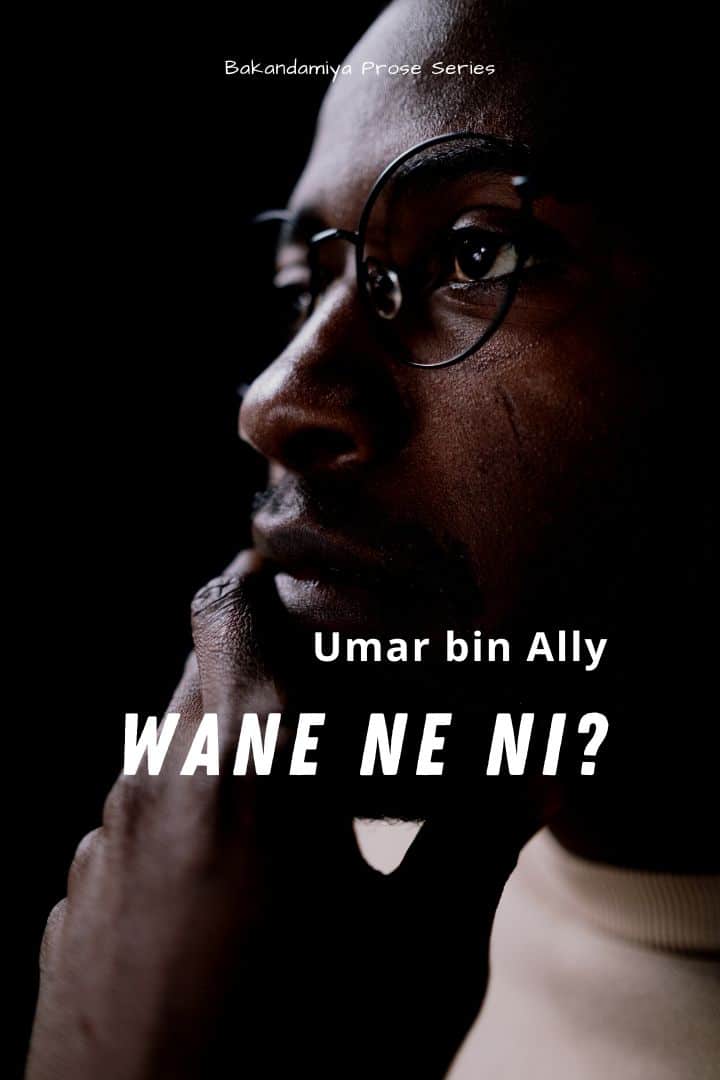 Wane Ne Ni by Umar bin Ally